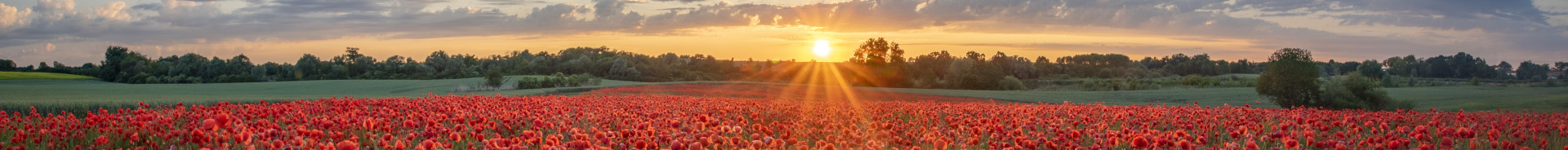 Lest We Forget Banner Image